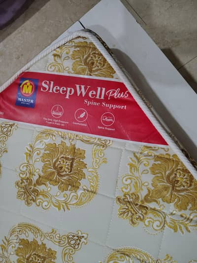 Master Molty Foam - Sleep Well