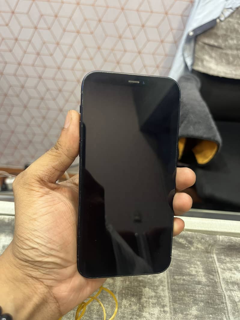 Apple iPhone 12 1