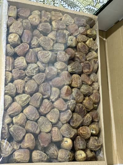 Sukri saudi dates