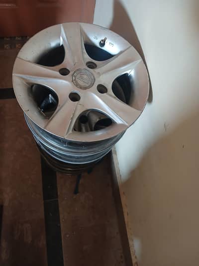13" size caltus wegera