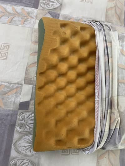 molty contour pillow