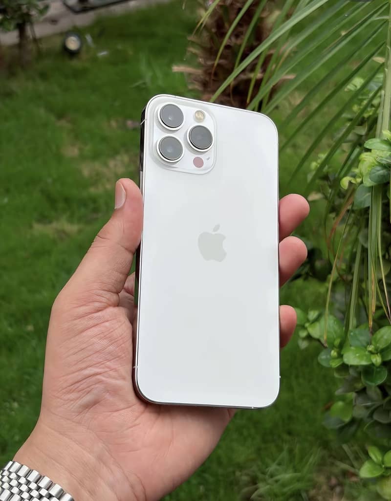 Apple iPhone 13 Pro Max 1