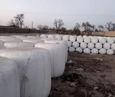 Top quality silage for great milking results