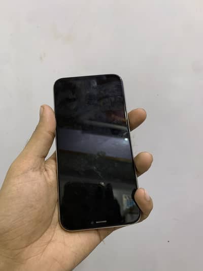 Apple iPhone X
