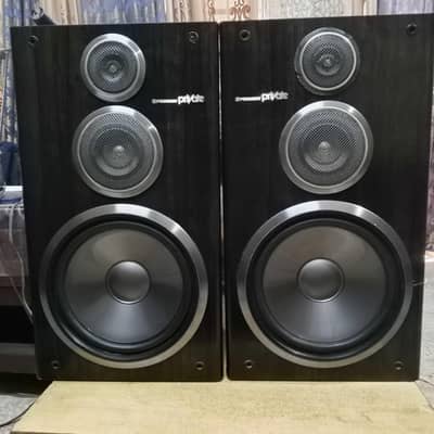PIONEER 10" speaker