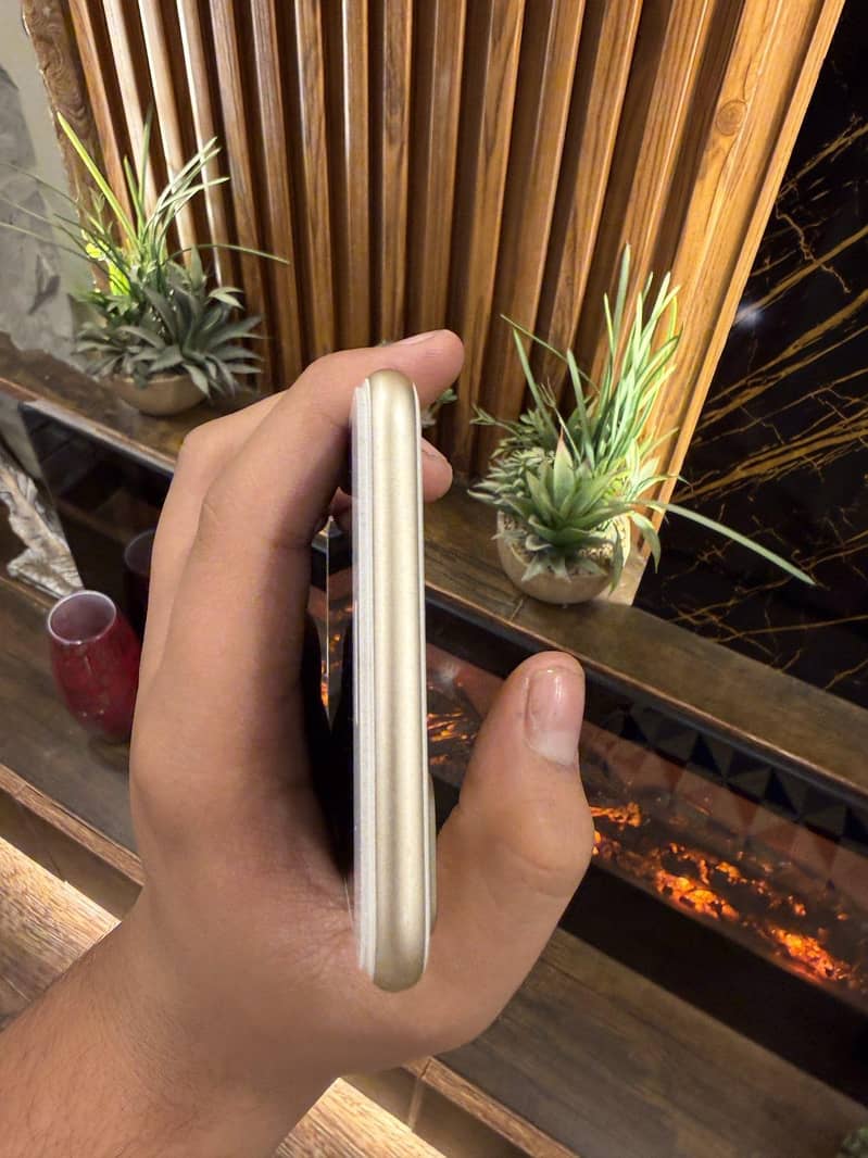 Apple iPhone 7 Plus 4