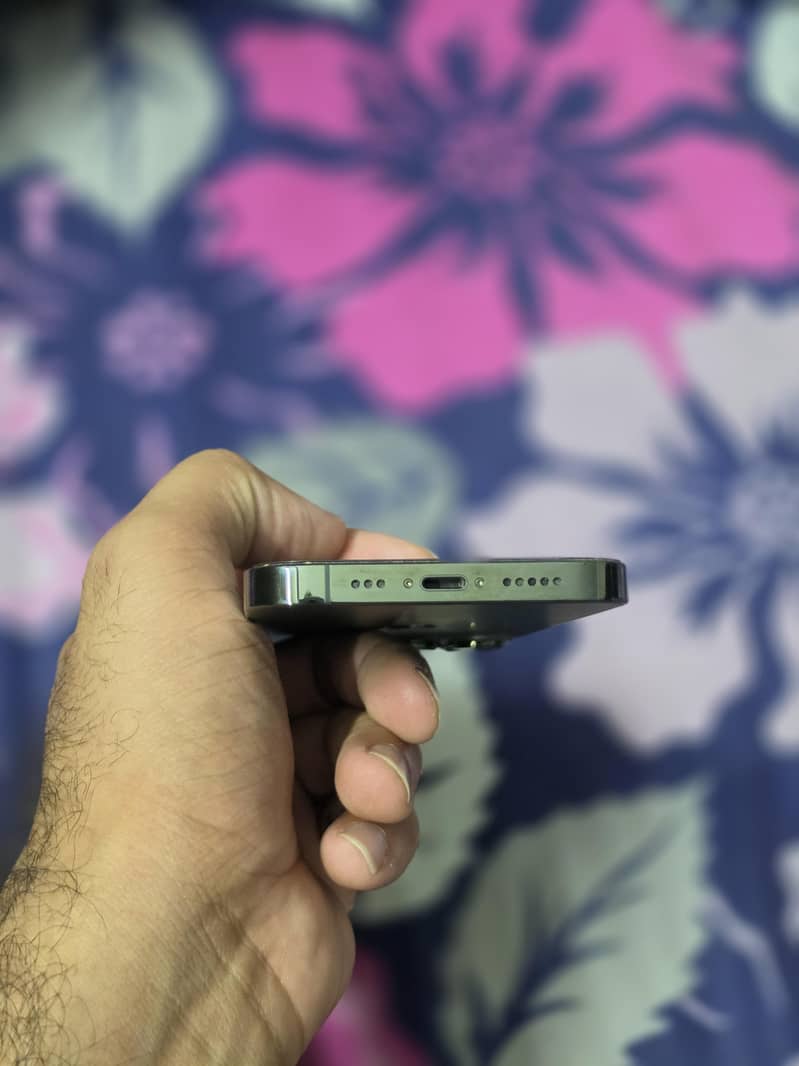 13 pro 2