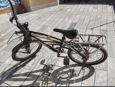 CRUISER