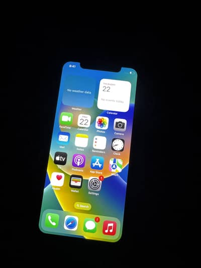 Apple iPhone X