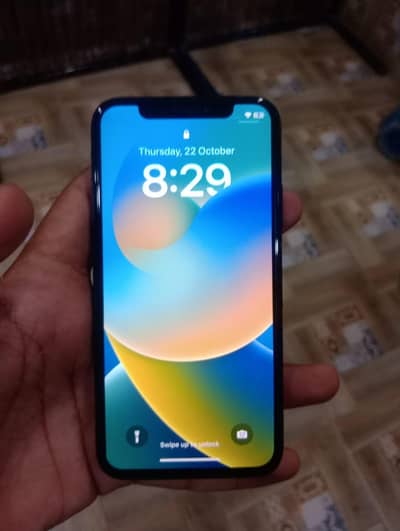 Apple iPhone X