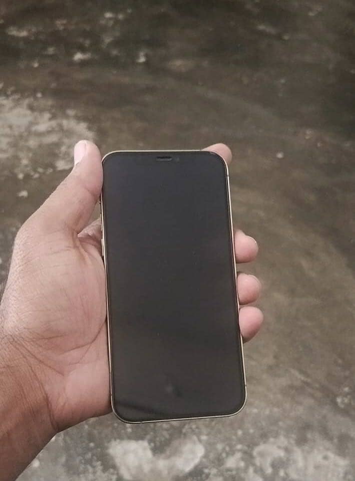 Apple iPhone 12 Pro 1