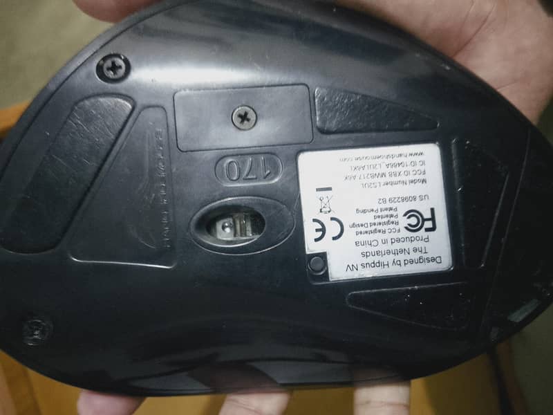 handshoe mouse L152UL size 170 hippus mouse - Computer Components ...