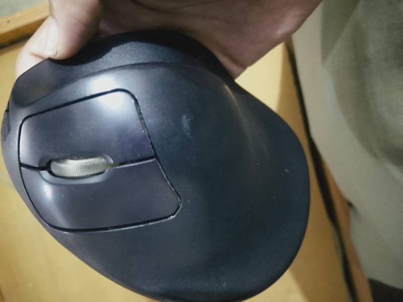 handshoe mouse L152UL size 170 hippus mouse - Computer Components ...