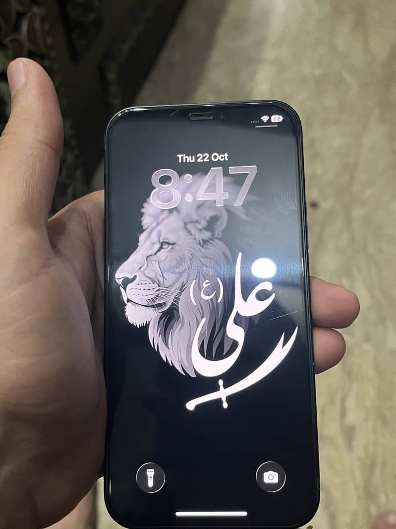 Apple iPhone 12 1