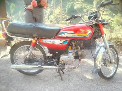 Treet company . . 2025
