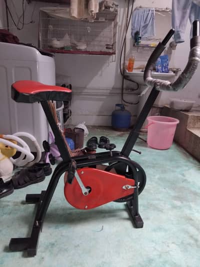 Excercise Cycle