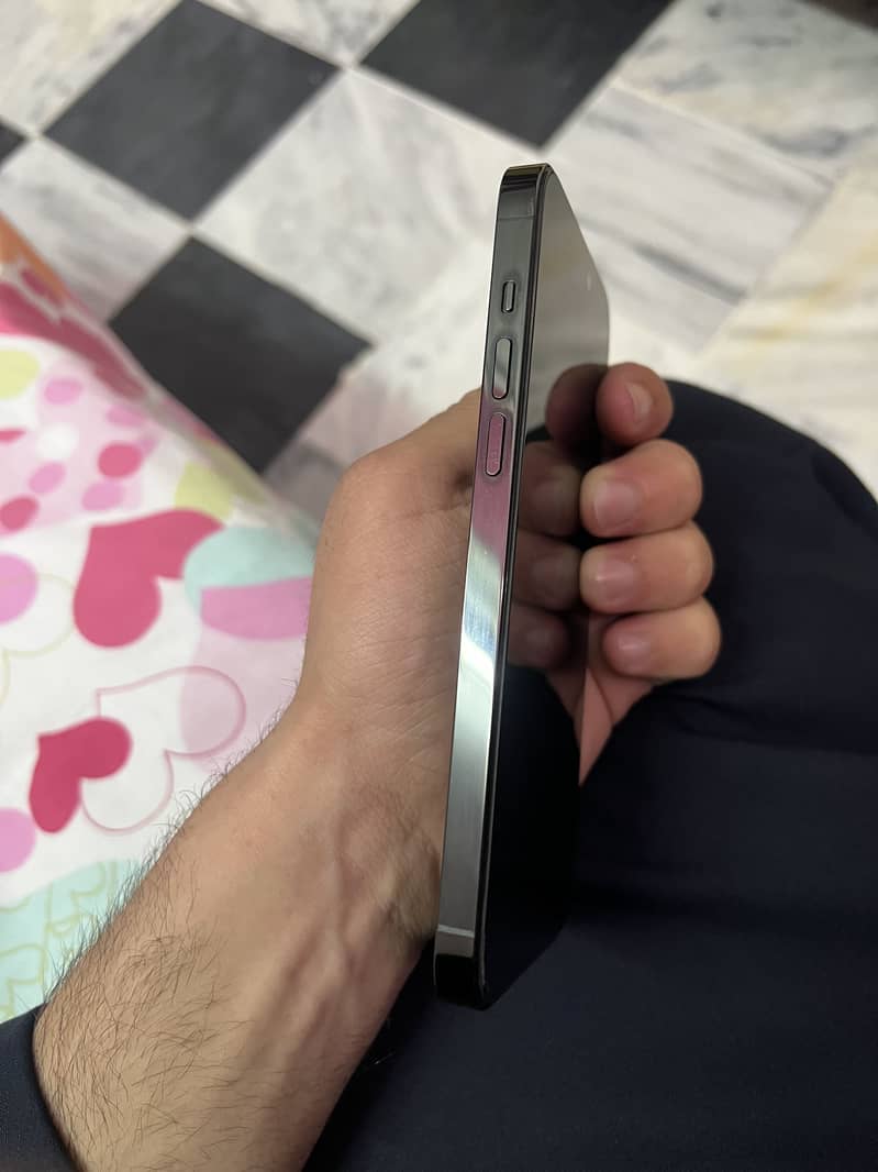 Apple iPhone 14 Pro Max bypass 3