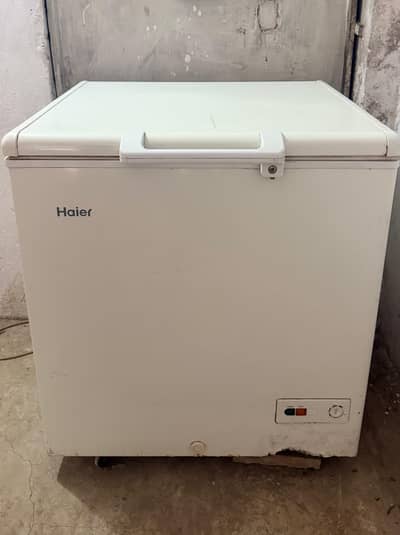 Haier Freezer