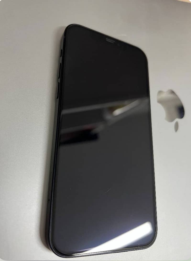 Apple iPhone 12 6