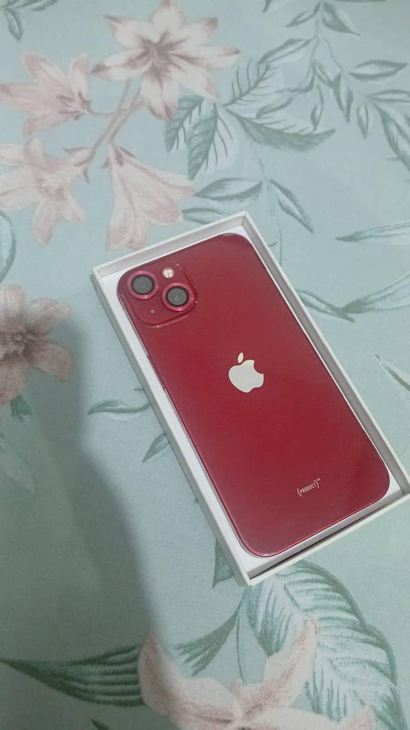 Apple iPhone 13 0