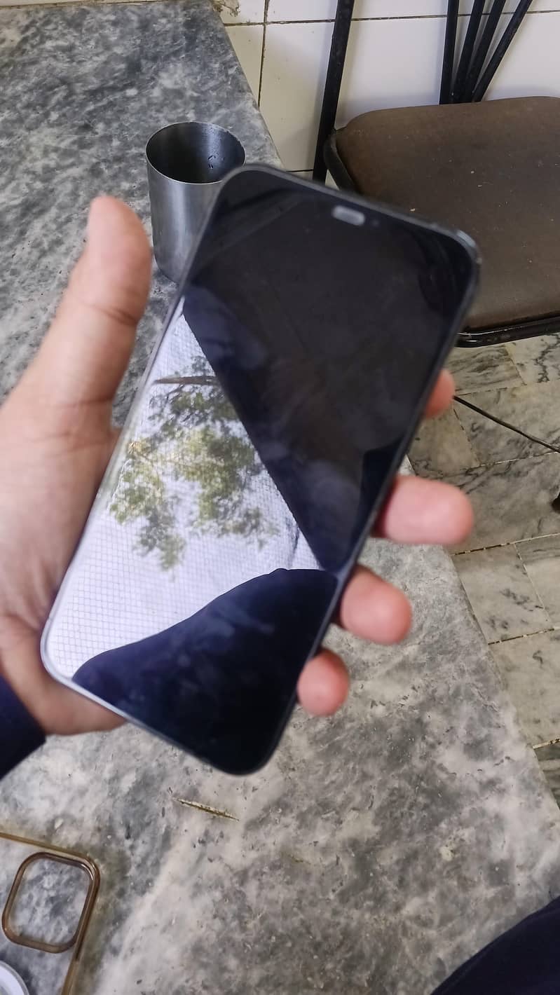 Apple iPhone 12 Pro Max 4