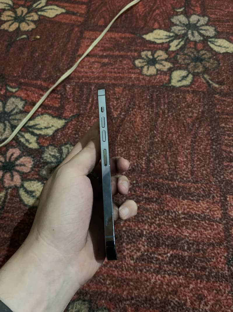 Apple iPhone 13 Pro Max 3