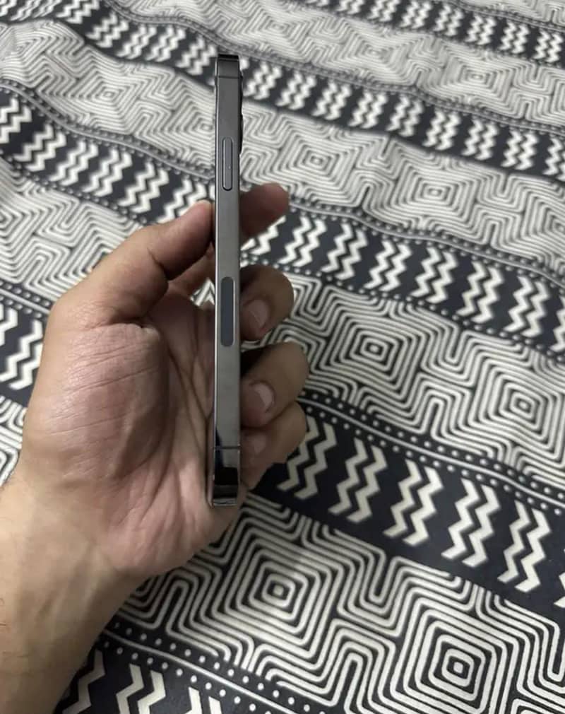 12 pro 256gb 3