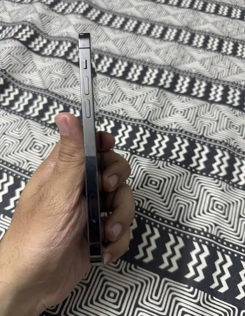 12 pro 256gb 4