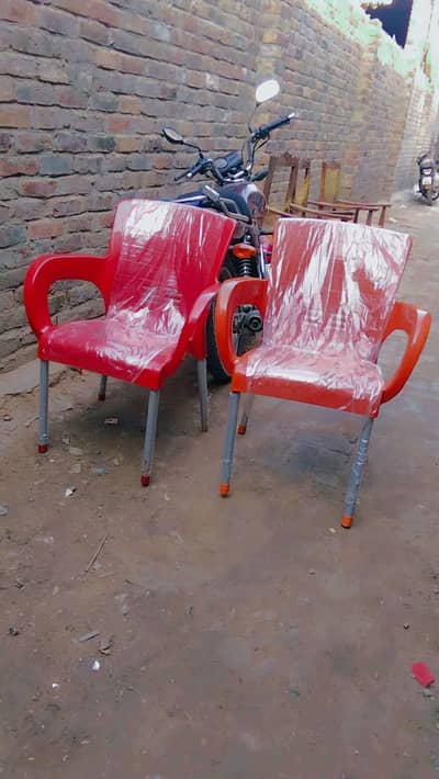Plastic chairs - Chairs - Pure Plastic Chairs -  Cheap Price Chair