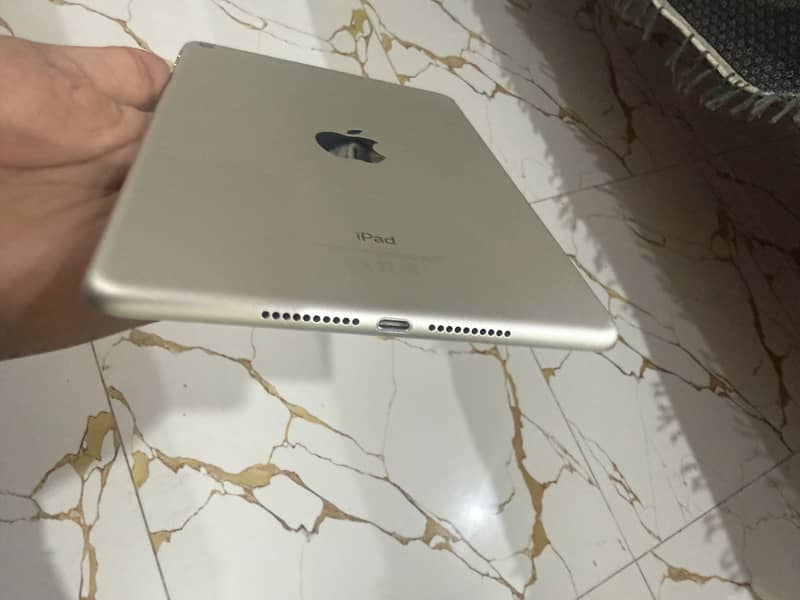 iPad Mini (5th generation) 64 GB 1