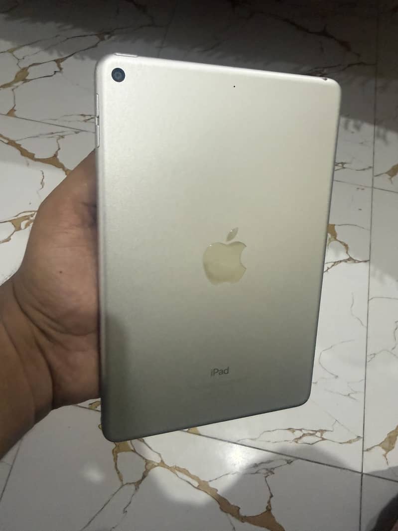 iPad Mini (5th generation) 64 GB 3