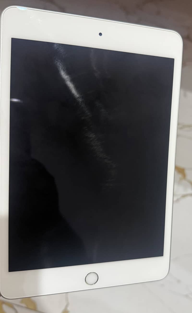 iPad Mini (5th generation) 64 GB 4