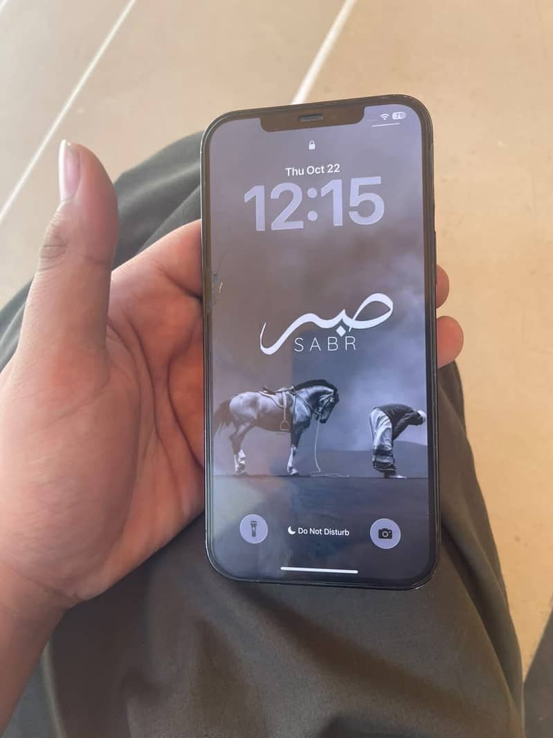 Apple iPhone 12 Pro Max 8