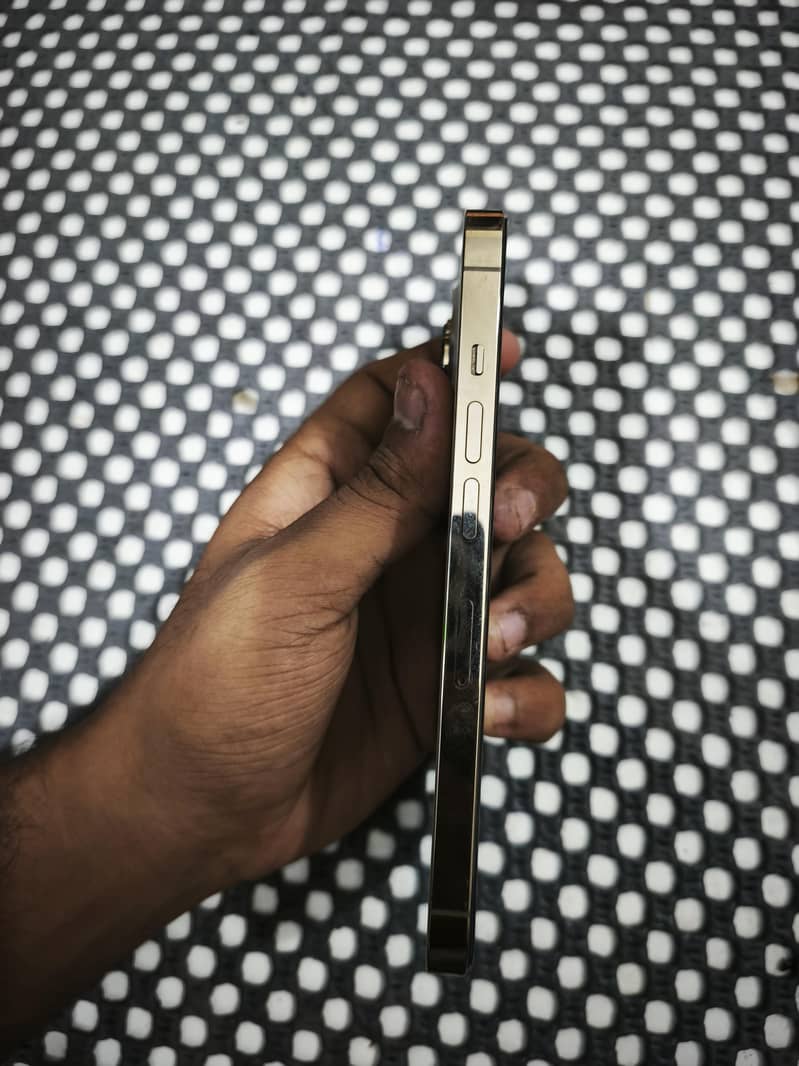 Apple iPhone 13 Pro 2