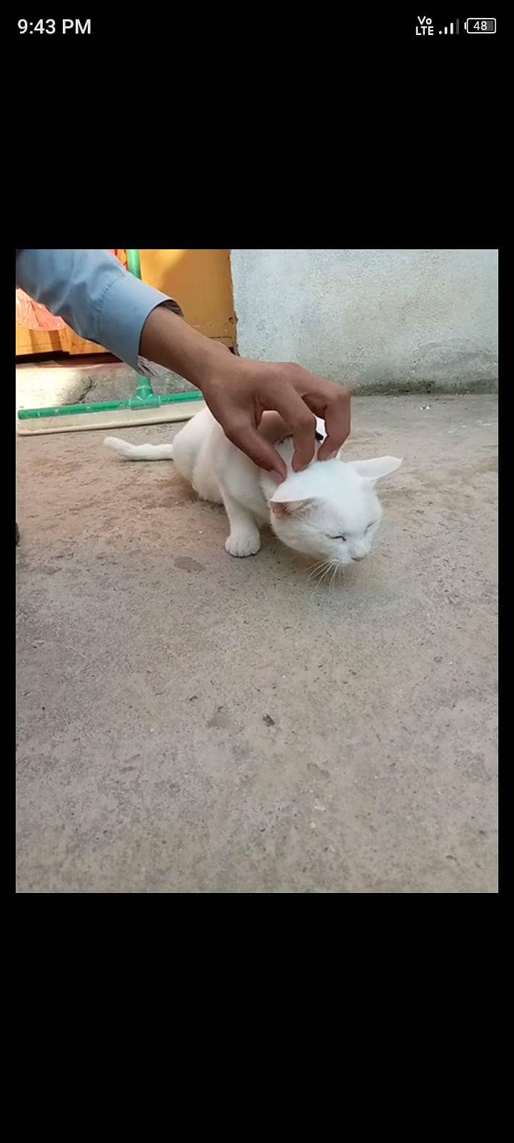 parsian 2