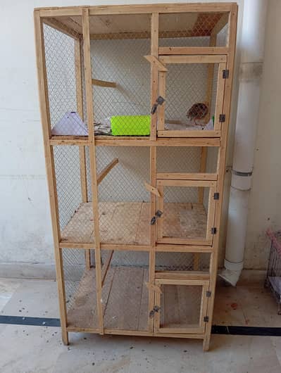 birds cage