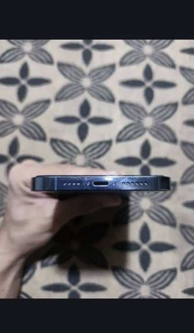 Apple iPhone 13 Pro Max water park 10/9 MDM