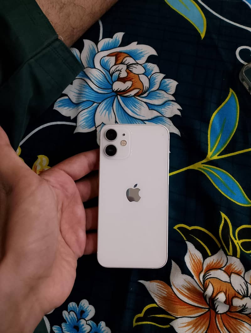 Apple iPhone 12 mini 0