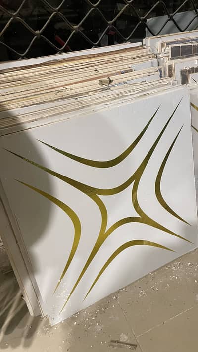 Ceiling Tiles for roof