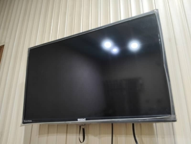 Macaw series LCD 0
