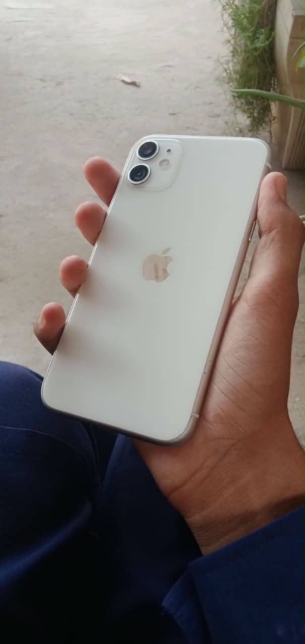 Apple iPhone 11 0