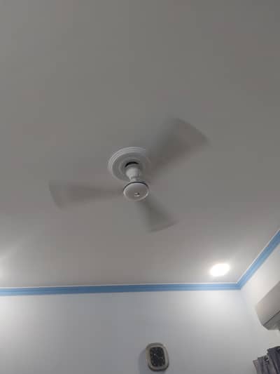 PakFan Ceiling Fan 56" For sale