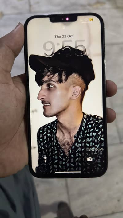 Apple iPhone 13 Pro Max