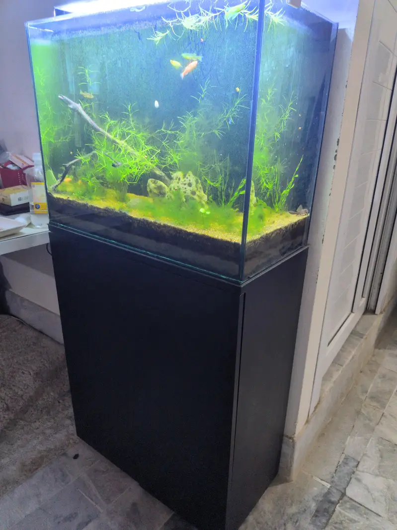 fish aquarium — photo 3
