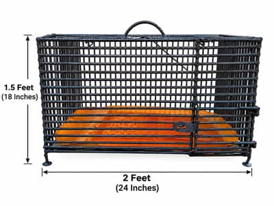IRON ROD CAGE