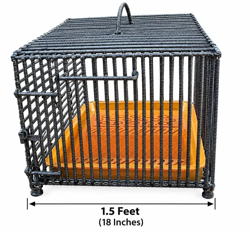 IRON ROD CAGE — photo 2