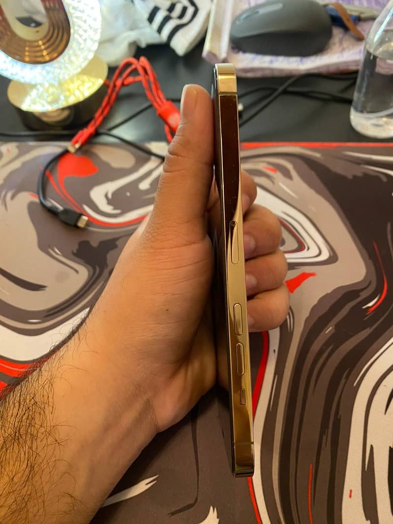 Apple iPhone 12 Pro Max 9