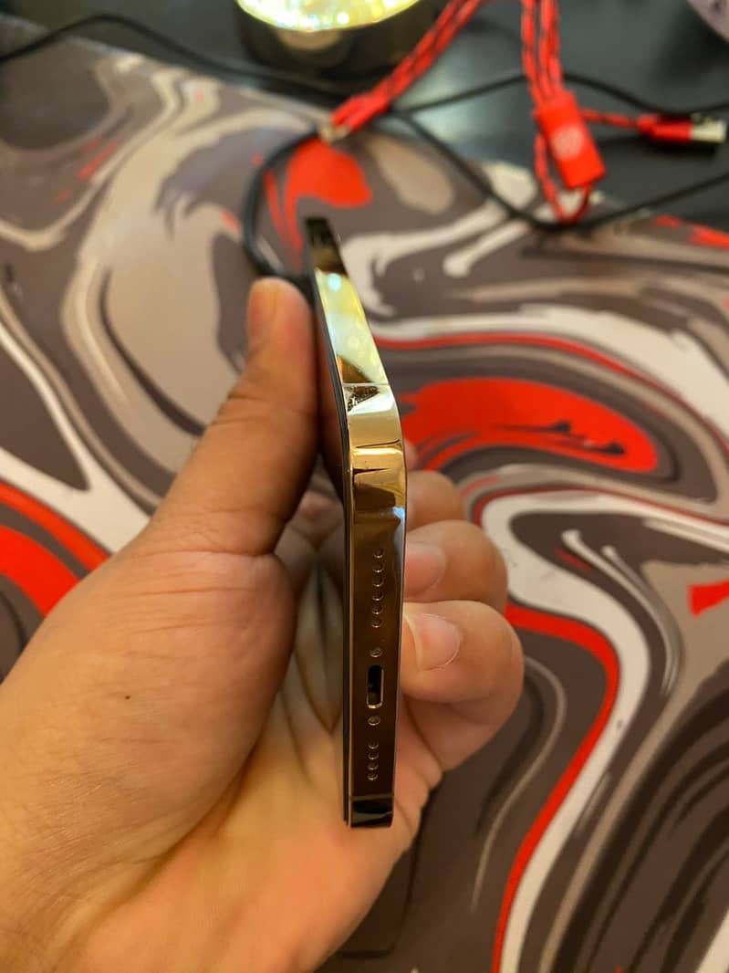 Apple iPhone 12 Pro Max 17
