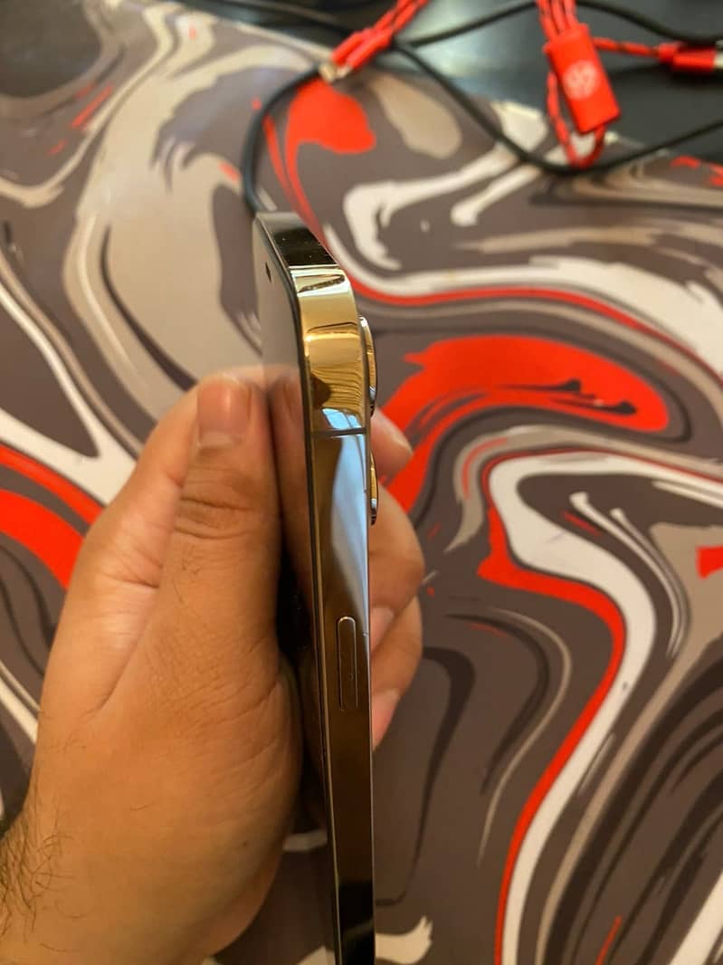 Apple iPhone 12 Pro Max 18