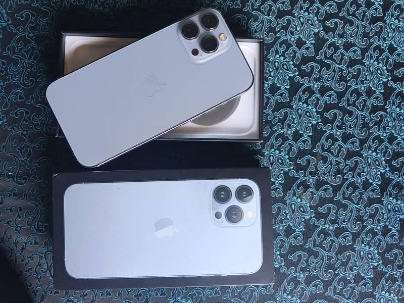 Apple iPhone 13 Pro Max 1